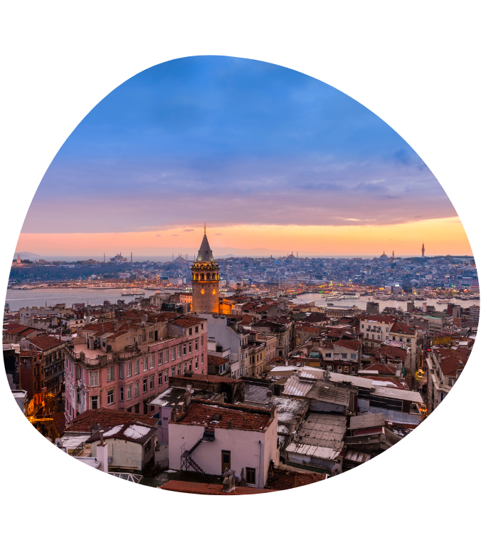 https://anatolianclinic.com/wp-content/uploads/2022/12/istanbul.png